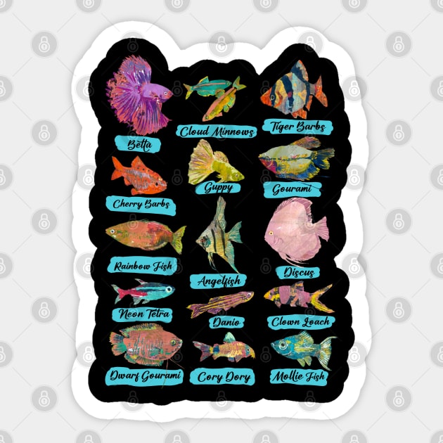 Tropical Freshwater Fish Chart Sticker by Gina's Pet Store